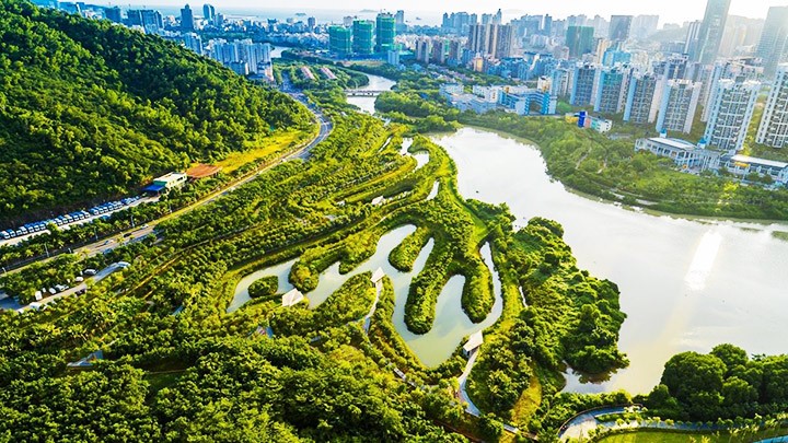 Giải pháp cứu nguy mùa mưa lũ Giải pháp cứu nguy mùa mưa lũ