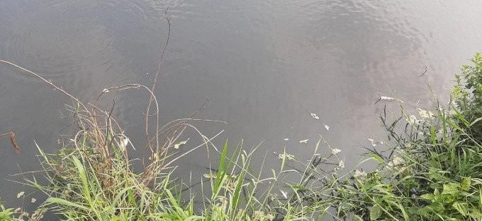 Tăng cường quản lý doanh nghiệp xả thải gây ô nhiễm sông Giêng Tăng cường quản lý doanh nghiệp xả thải gây ô nhiễm sông Giêng