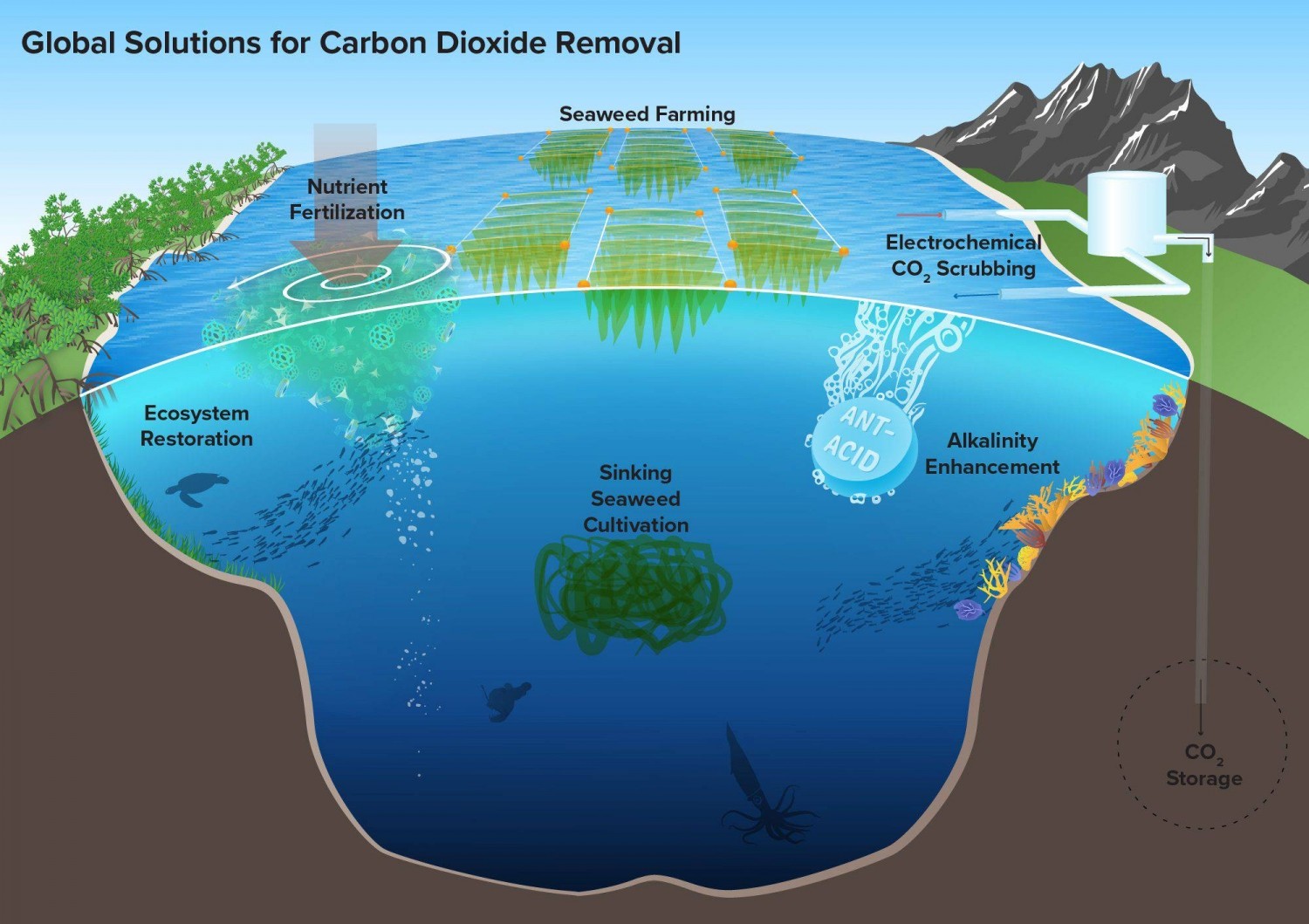 Nghiên cứu loại bỏ carbon dioxide để làm sạch không khí Nghiên cứu loại bỏ carbon dioxide để làm sạch không khí
