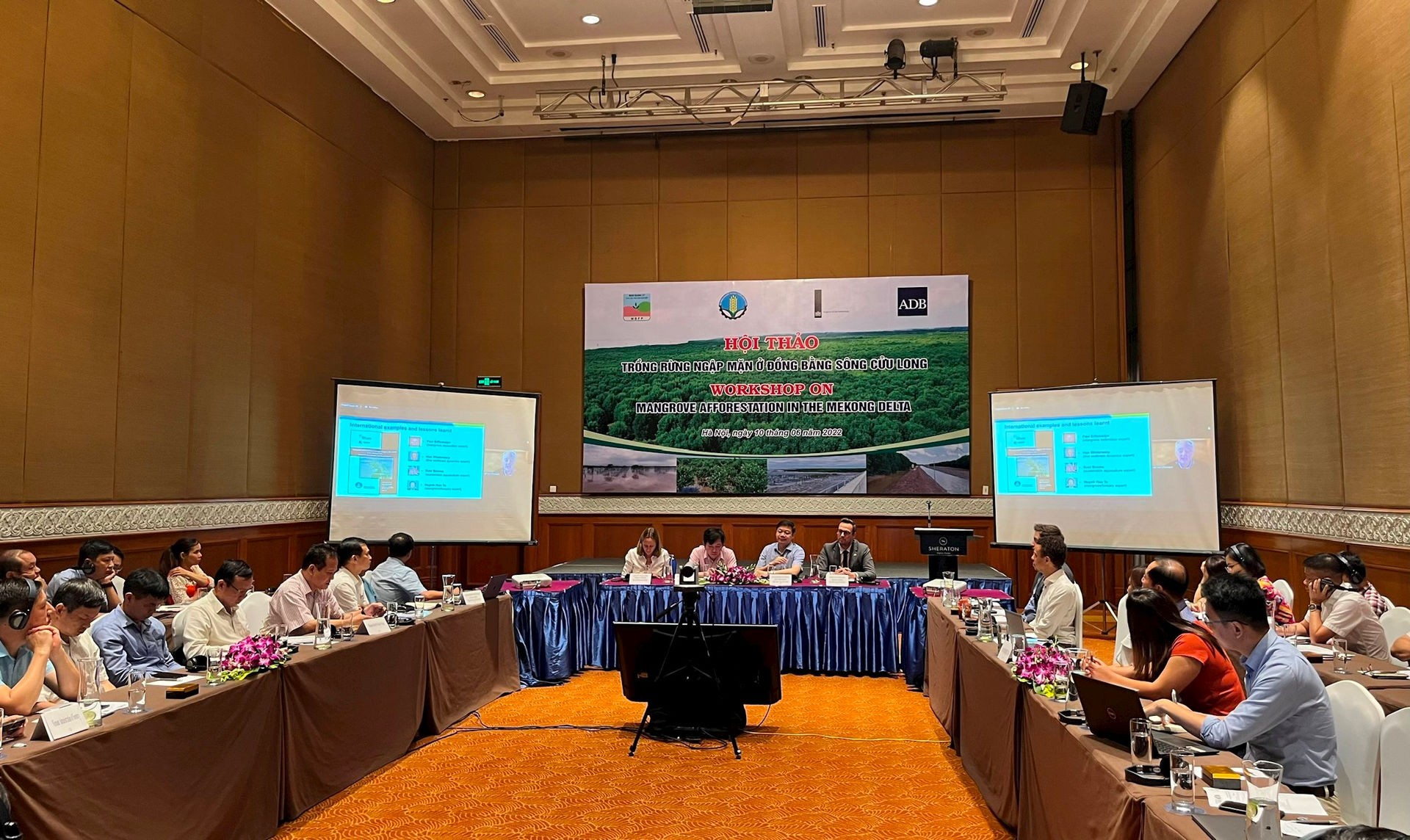 Tăng dày rừng ngập mặn tại 5 tỉnh Đồng bằng sông Cửu Long Tăng dày rừng ngập mặn tại 5 tỉnh Đồng bằng sông Cửu Long