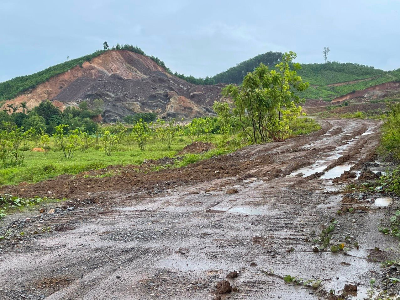 Ninh Bình: Công ty Thành Nam NQ liên tiếp bị xử phạt vì khai thác đất, đá trái phép Ninh Bình: Công ty Thành Nam NQ liên tiếp bị xử phạt vì khai thác đất, đá trái phép