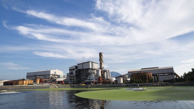 TTC Sugar lấy ý kiến cổ đông phát hành 44 triệu cổ phiếu để trả cổ tức TTC Sugar lấy ý kiến cổ đông phát hành 44 triệu cổ phiếu để trả cổ tức