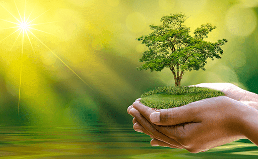 Việt Nam: Tổ chức hoạt động hưởng ứng Chiến dịch làm cho thế giới sạch năm 2022