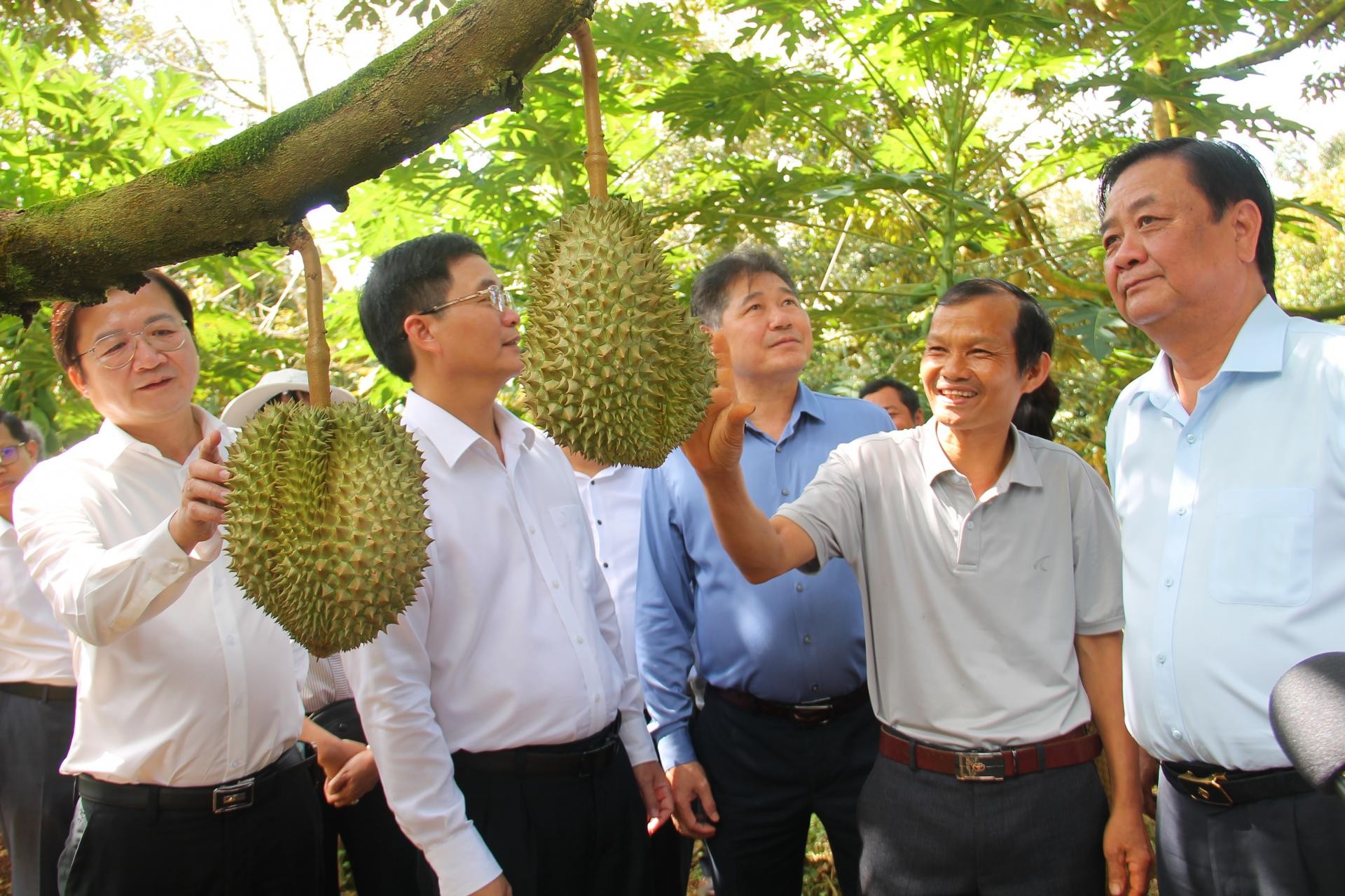 Đắk Lắk: Tạo dựng nền nông nghiệp chất lượng, minh bạch, trách nhiệm