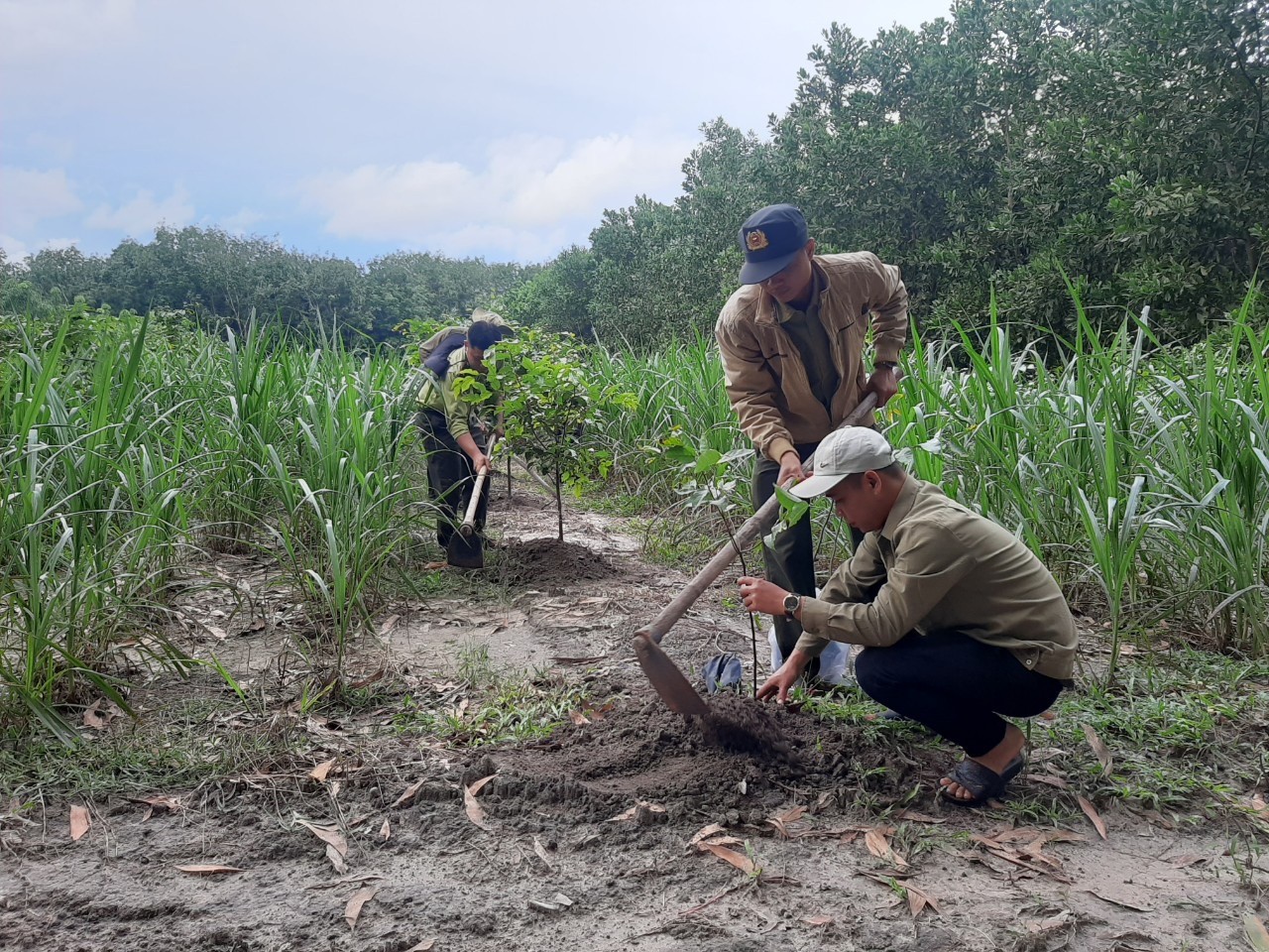 Tây Ninh: Người sử dụng đất rừng sản xuất cần sớm thực hiện thủ tục kê khai theo quy định Tây Ninh: Người sử dụng đất rừng sản xuất cần sớm thực hiện thủ tục kê khai theo quy định