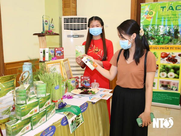 Thúc đẩy kinh tế tập thể, hợp tác xã phát triển bền vững