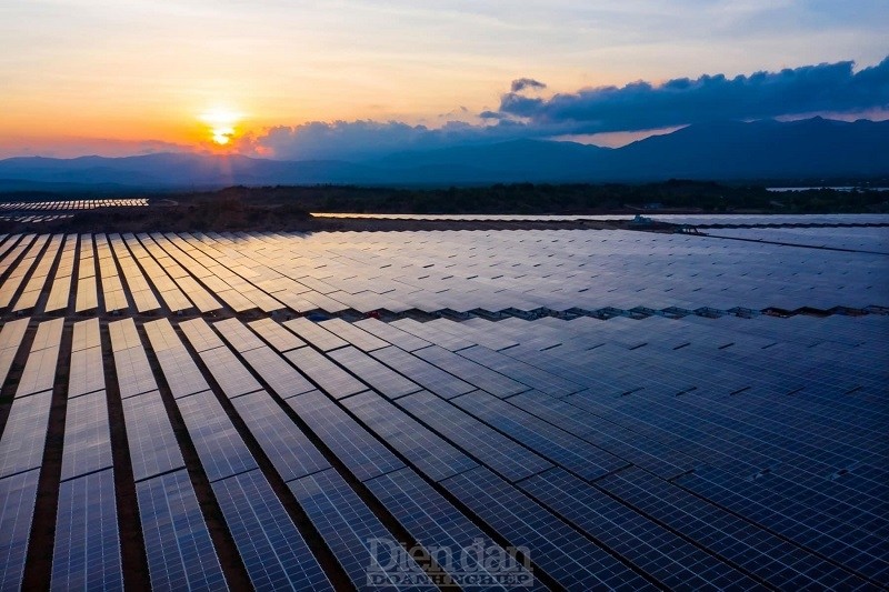 Trung Nam Group kêu "bất công" vì bị EVN dừng 40% công suất điện mặt trời