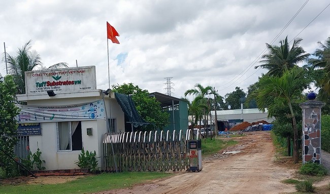 Bình Định: Ô nhiễm môi trường từ sản xuất xơ dừa