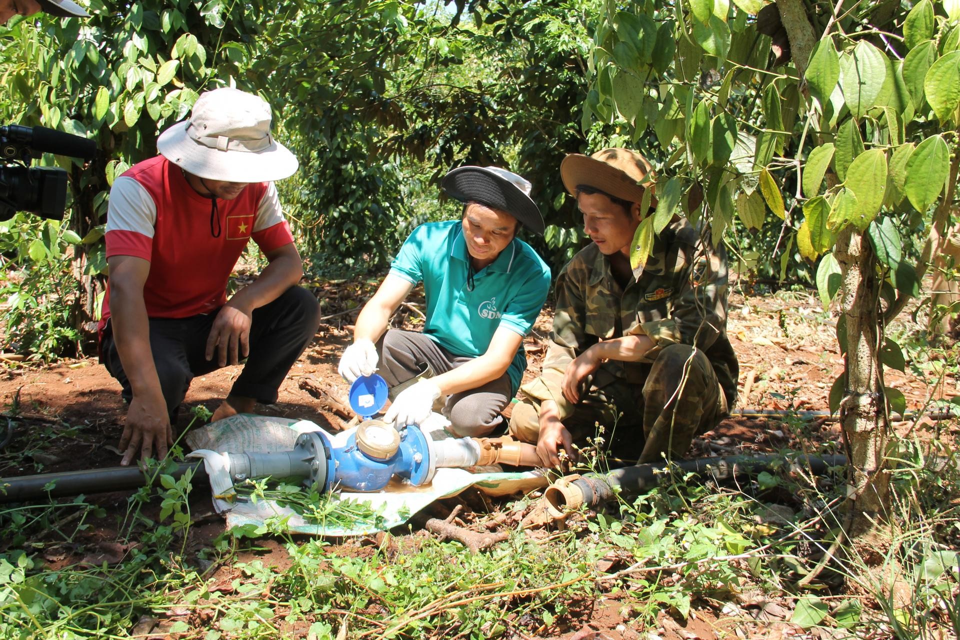 Đắk Lắk: Nỗ lực giảm phát thải sản xuất vì một nền nông nghiệp xanh