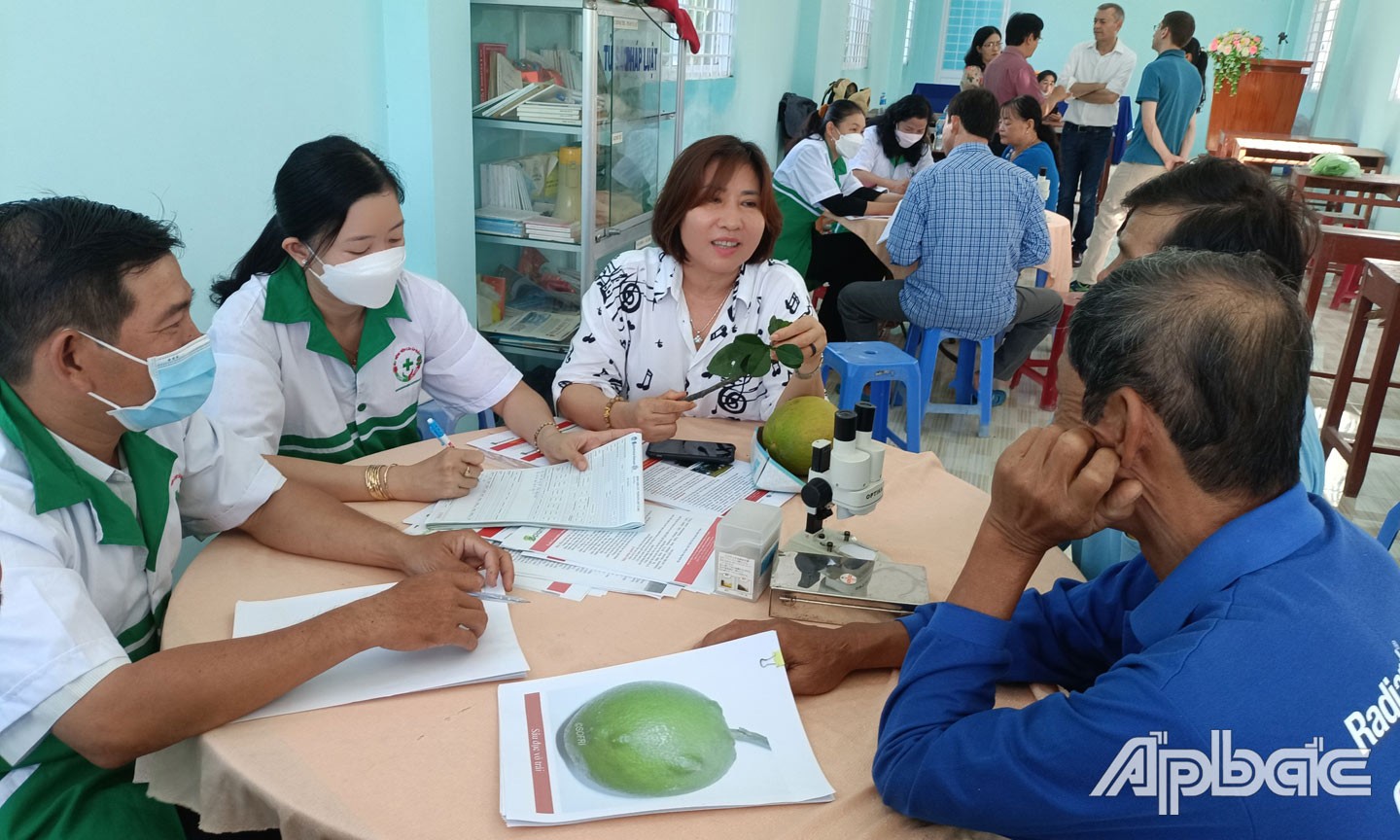 UBND xã Tân Mỹ Chánh phối hợp với các cơ quan chức năng tổ chức nhiều cuộc tập huấn, hội thảo hỗ trợ kỹ thuật cho nông dân trồng bưởi da xanh. UBND xã Tân Mỹ Chánh phối hợp với các cơ quan chức năng tổ chức nhiều cuộc tập huấn, hội thảo hỗ trợ kỹ thuật cho nông dân trồng bưởi da xanh.