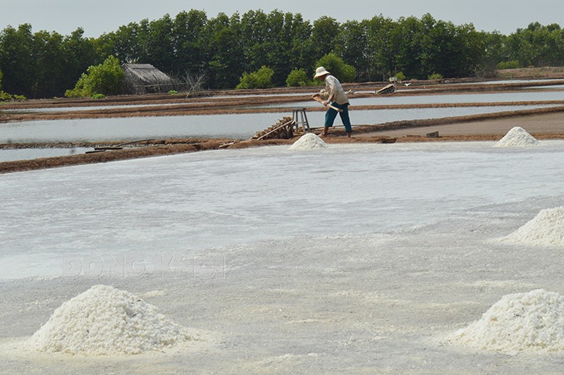 Sản xuất muối tại huyện Ba Tri. Sản xuất muối tại huyện Ba Tri.