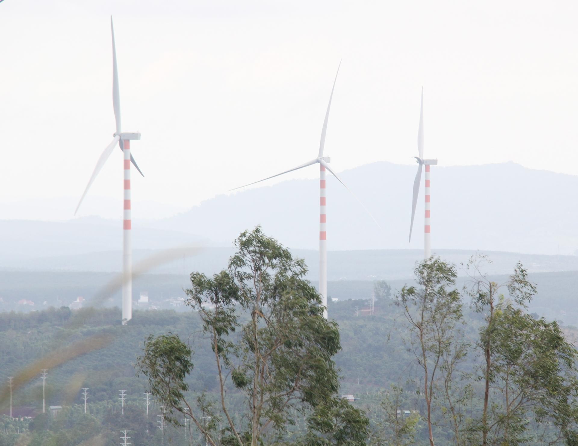 Dự án Trang trại phong điện Tây Nguyên (giai đoạn 1) tại huyện Ea H'leo được Thanh tra Chính phủ kết luận có vi phạm về đất đai. Dự án Trang trại phong điện Tây Nguyên (giai đoạn 1) tại huyện Ea H'leo được Thanh tra Chính phủ kết luận có vi phạm về đất đai.