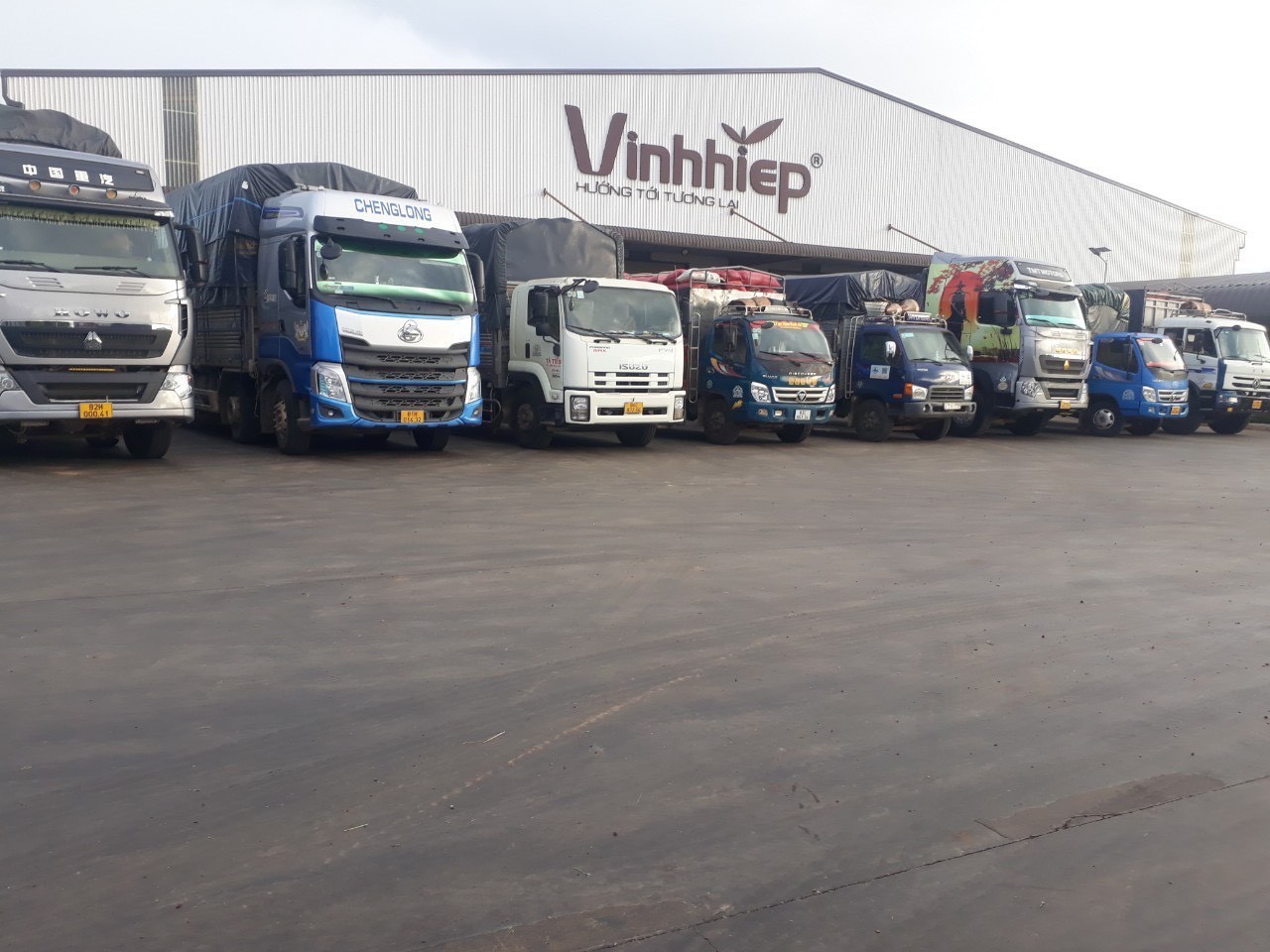 Hoạt động kinh doanh tại Công ty TNHH Vĩnh Hiệp vẫn diễn ra bình thường trong sáng 17-11. Ảnh: Lê Anh