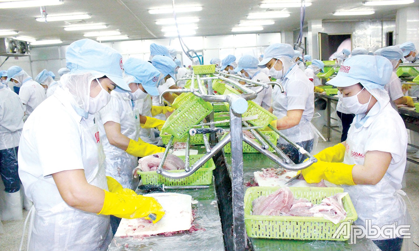 Tiền Giang: Hầu hết mục tiêu, chỉ tiêu kế hoạch năm 2022 đều đạt và vượt