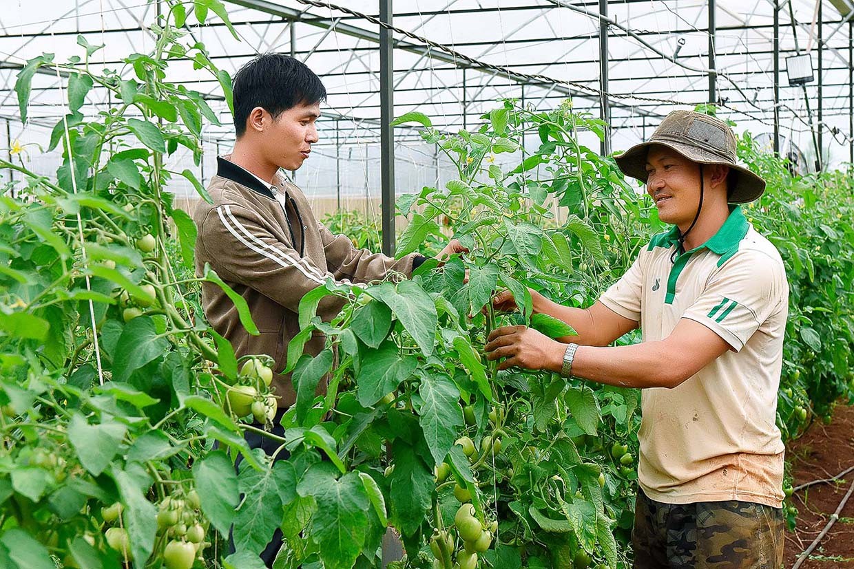 Gia Lai: Xây dựng nông hội thực chất, vì lợi ích nông dân