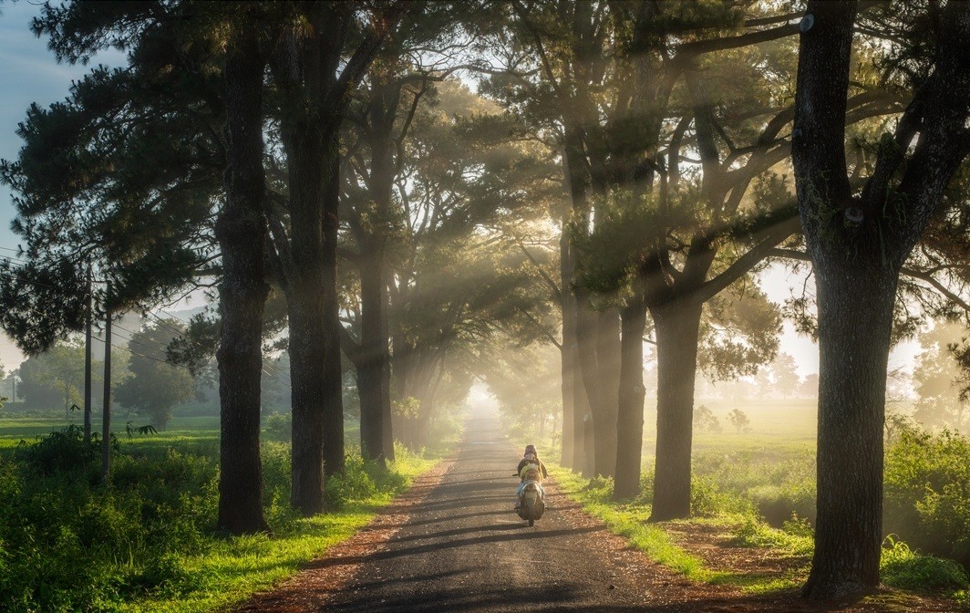 Gia Lai: Cả hệ thống chính trị vào cuộc quảng bá, xúc tiến hoạt động du lịch Gia Lai: Cả hệ thống chính trị vào cuộc quảng bá, xúc tiến hoạt động du lịch