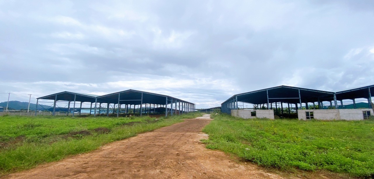 Đắk Lắk: Lãng phí nguồn lực đất đai: Nhìn từ Cụm công nghiệp Cư Kuin (Kỳ 1) Đắk Lắk: Lãng phí nguồn lực đất đai: Nhìn từ Cụm công nghiệp Cư Kuin (Kỳ 1)