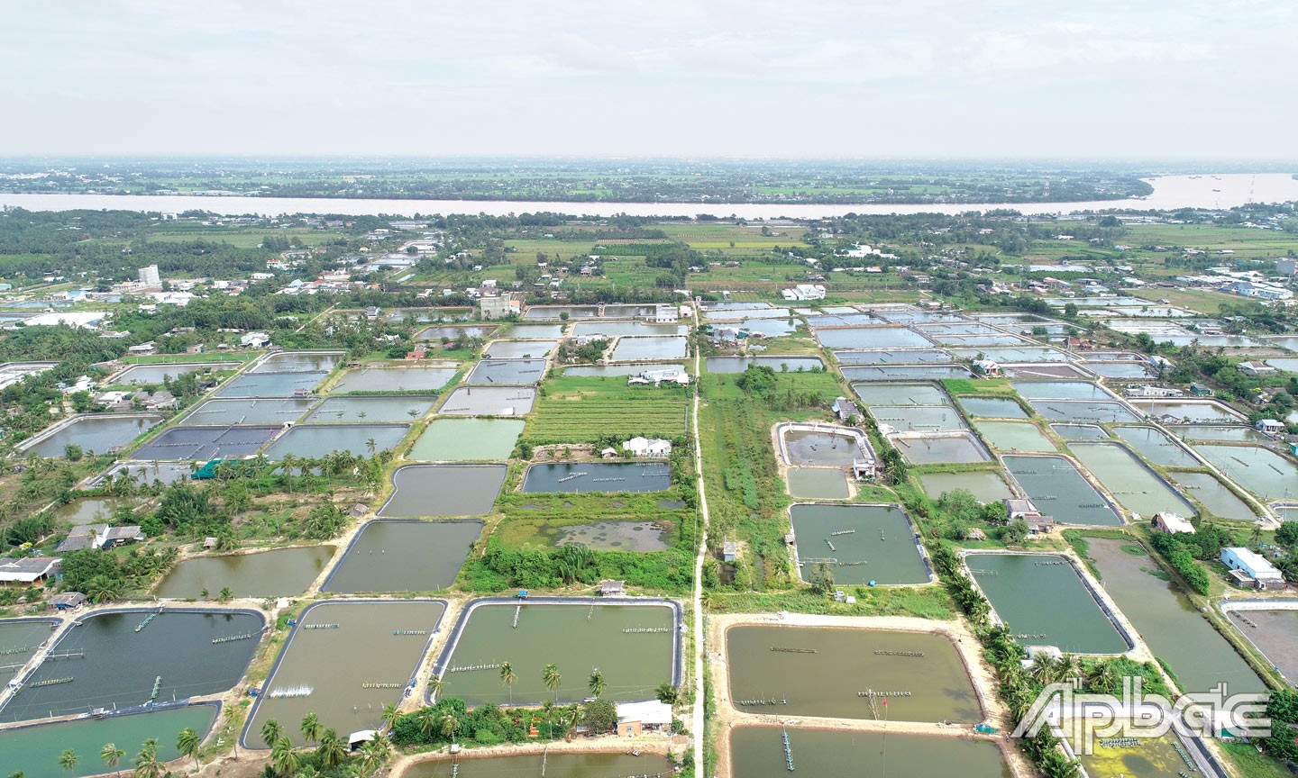 Tuyến đường bộ ven biển đi qua địa bàn huyện Tân Phú Đông được kỳ vọng sẽ giúp kinh tế - xã hội địa phương phát triển đột phá.