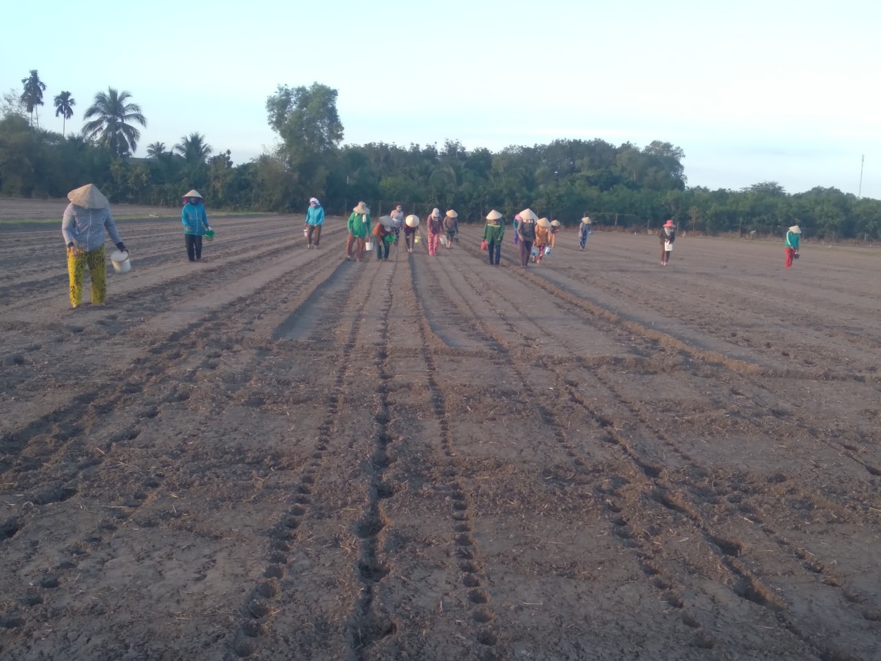 Tây Ninh: Nông dân khó tiếp cận chính sách Tây Ninh: Nông dân khó tiếp cận chính sách