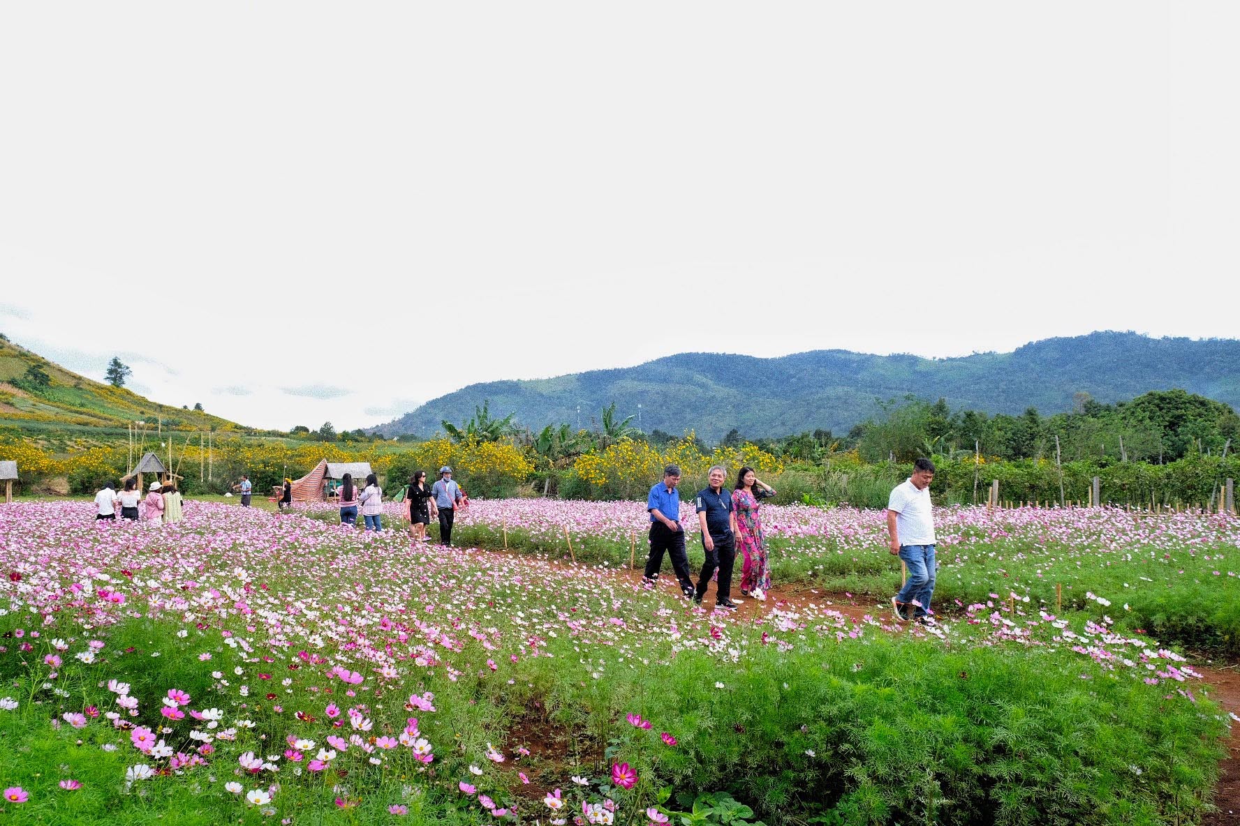Gia Lai: Điểm đến mới hấp dẫn của Tây Nguyên