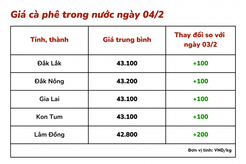 Giá cà phê hôm nay 4/2 dao động từ 42.800 - 43.200 đồng/kg.