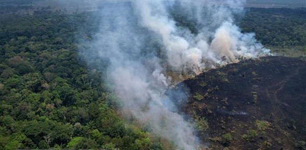 Đức hỗ trợ 217 triệu USD bảo vệ môi trường tại Brazil Đức hỗ trợ 217 triệu USD bảo vệ môi trường tại Brazil