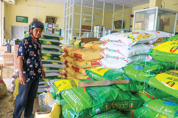 Giá phân bón hôm nay 7/2.