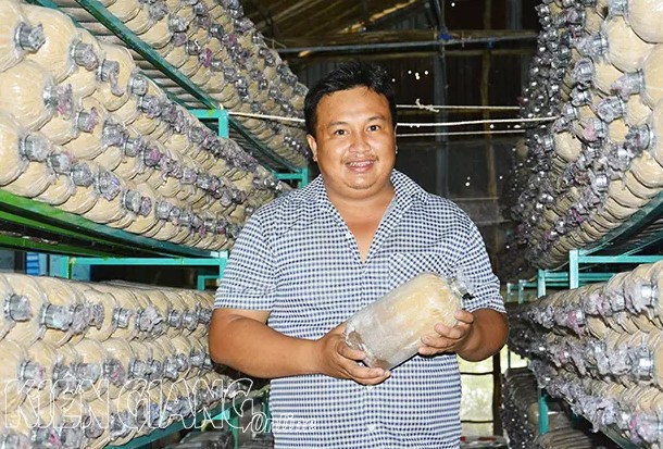 Kiên Giang: Y sĩ về quê trồng nấm