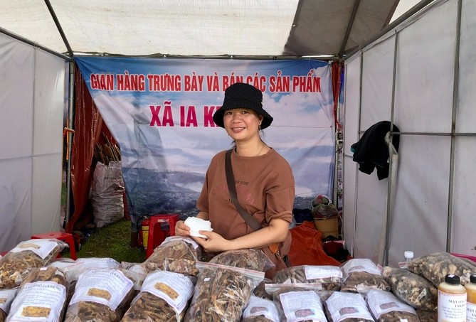 Gia Lai: Tuần lễ hoa dã quỳ Chư Đang Ya-Cơ hội quảng bá và tiêu thụ sản phẩm địa phương Gia Lai: Tuần lễ hoa dã quỳ Chư Đang Ya-Cơ hội quảng bá và tiêu thụ sản phẩm địa phương