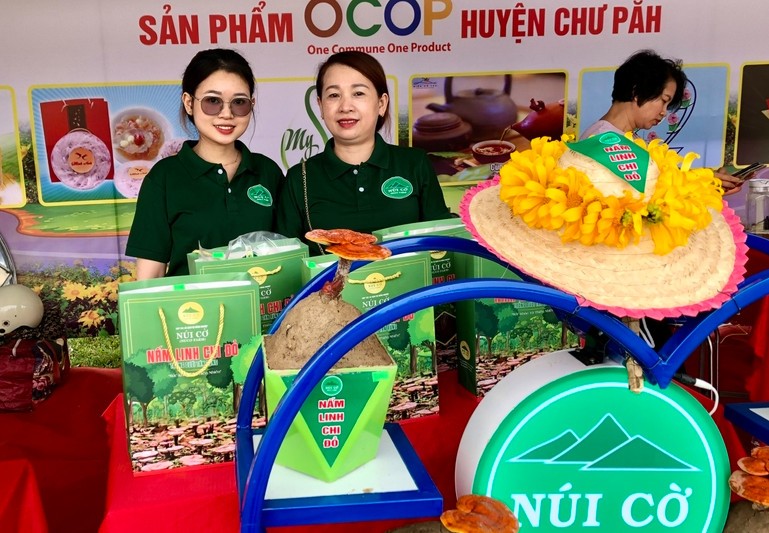 Gia Lai: Tuần lễ hoa dã quỳ Chư Đang Ya-Cơ hội quảng bá và tiêu thụ sản phẩm địa phương Gia Lai: Tuần lễ hoa dã quỳ Chư Đang Ya-Cơ hội quảng bá và tiêu thụ sản phẩm địa phương