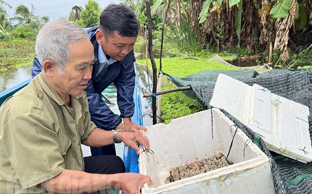 Kiên Giang: An Minh Bắc vượt khó, vươn lên Kiên Giang: An Minh Bắc vượt khó, vươn lên