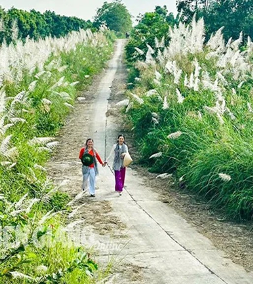 Kiên Giang: Phát triển du lịch U Minh Thượng