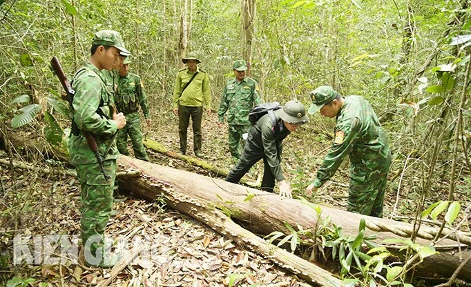 Kiên Giang: Đồn Biên phòng Gành Dầu tăng cường bảo vệ rừng Kiên Giang: Đồn Biên phòng Gành Dầu tăng cường bảo vệ rừng