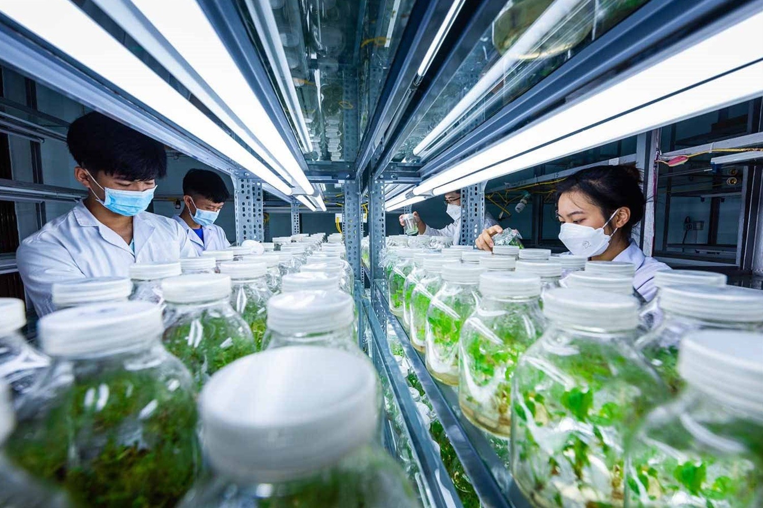 Một số suy nghĩ bước đầu về đột phá chiến lược trong thời kỳ mới