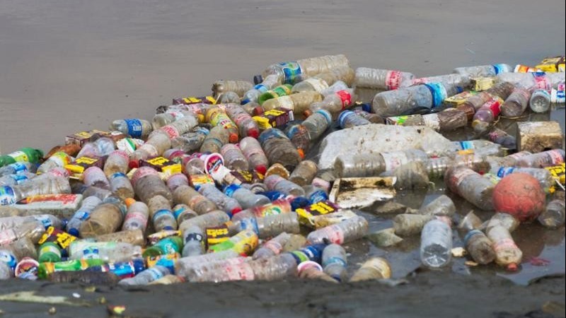 Thực hiện EPR sẽ giúp Việt Nam thúc đẩy và phát triển kinh tế tuần hoàn, chuyển đổi xanh