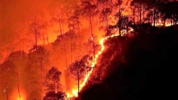 Gần 159.000ha rừng trên địa bàn tỉnh Quảng Ngãi có nguy cơ cháy cao