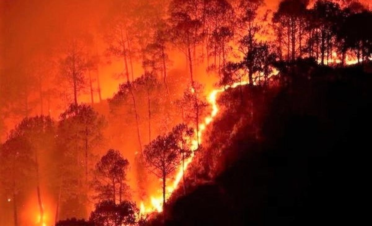Gần 159.000ha rừng trên địa bàn tỉnh Quảng Ngãi có nguy cơ cháy cao