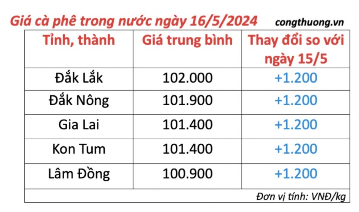 Giá cà phê hôm nay, 16/5/2024: Giá cà phê trong nước tăng trở lại | Báo Công Thương