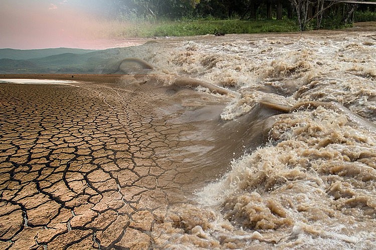 Net Zero là gì? Nếu không thực hiện Net Zero Trái đất sẽ ra sao? Net Zero là gì? Nếu không thực hiện Net Zero Trái đất sẽ ra sao?