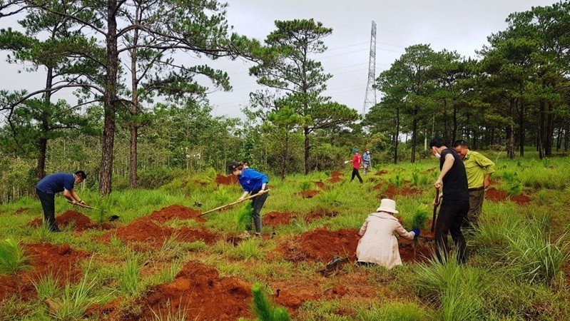 Ngày Môi trường thế giới 2024: Chống hạn hán gắn với phát triển bền vững