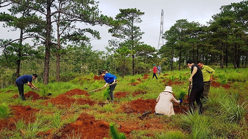 Ngày Môi trường thế giới 2024: Chống hạn hán gắn với phát triển bền vững Ngày Môi trường thế giới 2024: Chống hạn hán gắn với phát triển bền vững