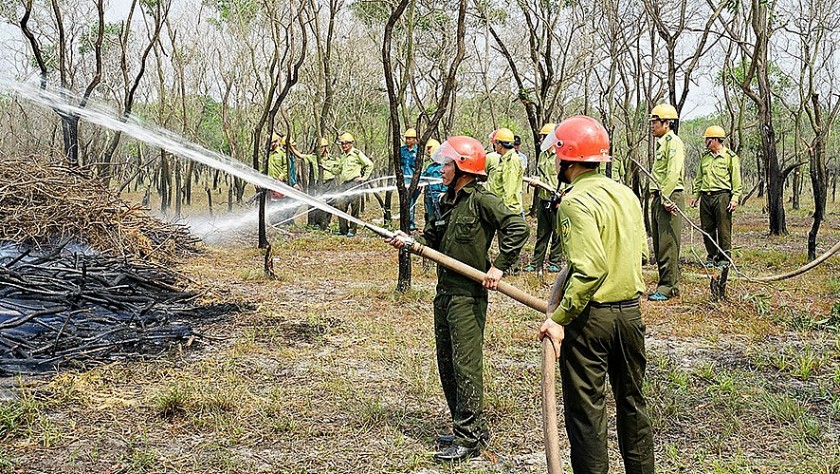 Quảng Trị: Đề nghị hỗ trợ hơn 19,6 tỷ đồng để phòng cháy, chữa cháy rừng
