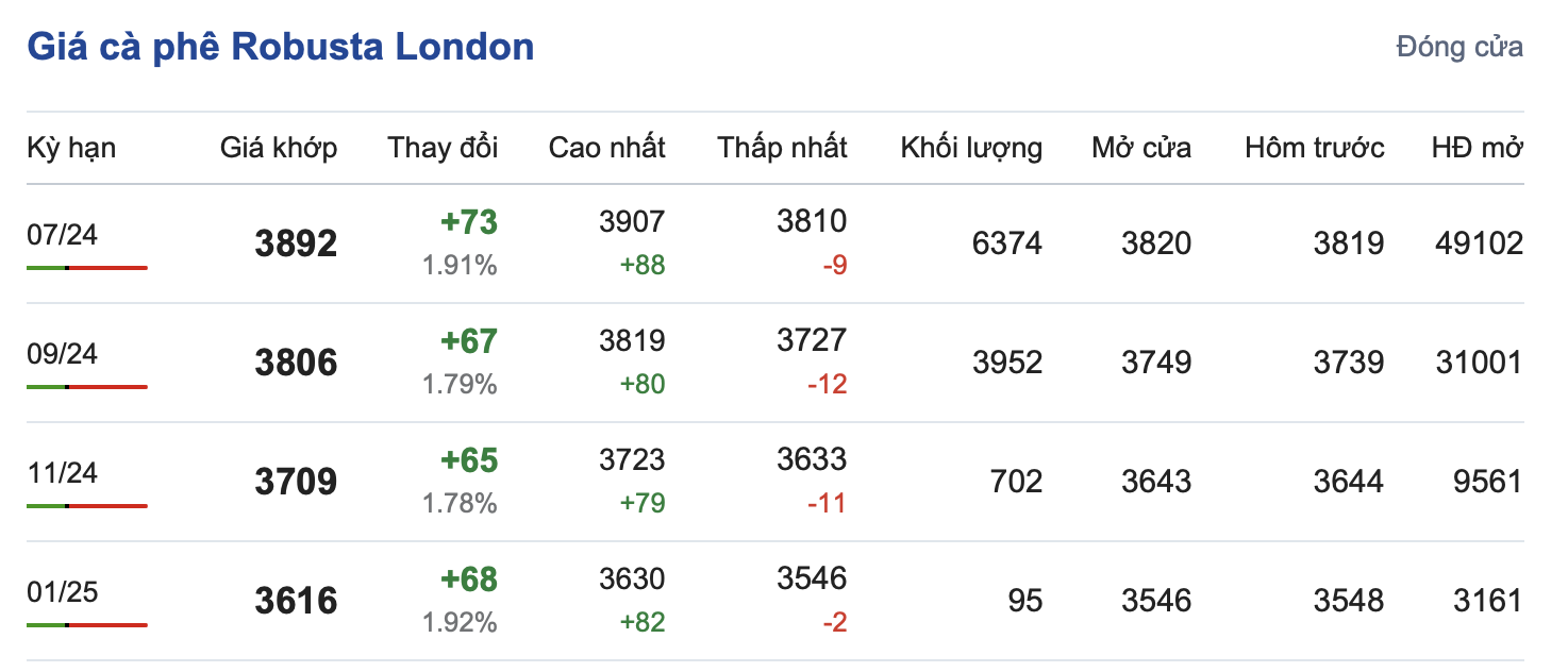 Giá cà phê hôm nay, 25/5/2024: Giá cà phê trong nước lao dốc