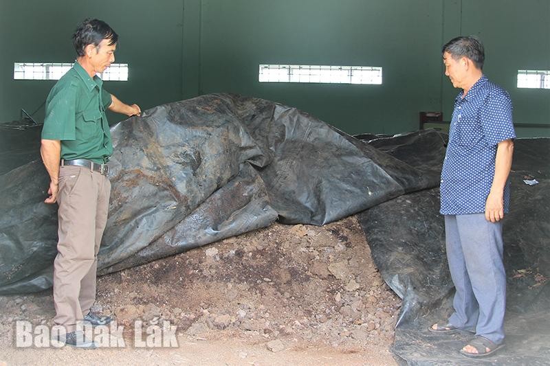 Đắk Lắk: Nâng cao giá trị cà phê bằng canh tác hữu cơ Đắk Lắk: Nâng cao giá trị cà phê bằng canh tác hữu cơ