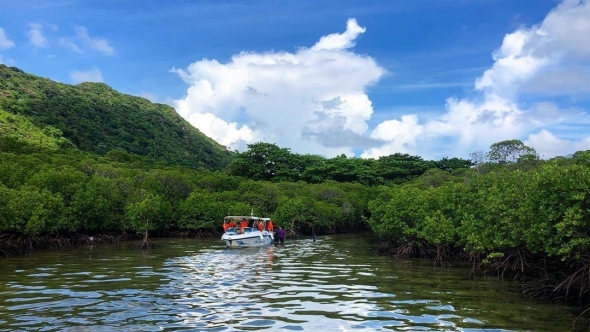 Bảo tồn giá trị đa dạng sinh học tại các vùng đất ngập nước