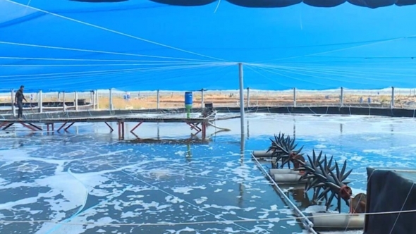Công nghệ sinh học hỗ trợ đắc lực trong sản xuất nông nghiệp