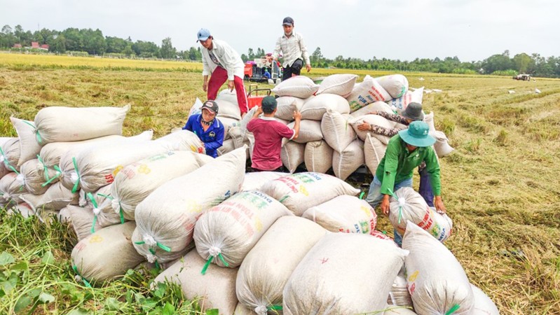 Sản xuất nông, lâm, thủy sản 5 tháng đầu năm chuyển biến tích cực