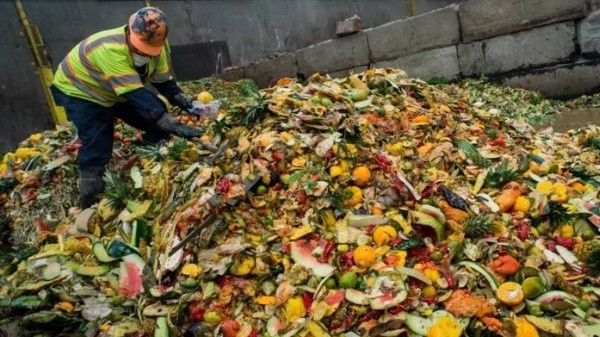 Dubai biến rác thải thực phẩm thành phân bón