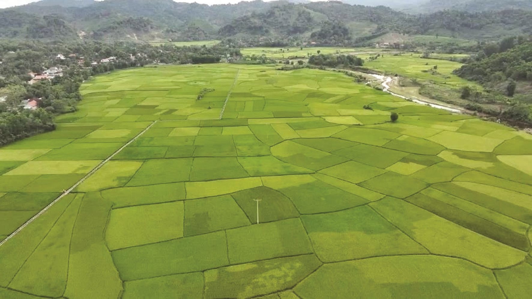 Nghệ An: Thí điểm phát hành tín chỉ các-bon trên 6.000ha sản xuất lúa Nghệ An: Thí điểm phát hành tín chỉ các-bon trên 6.000ha sản xuất lúa