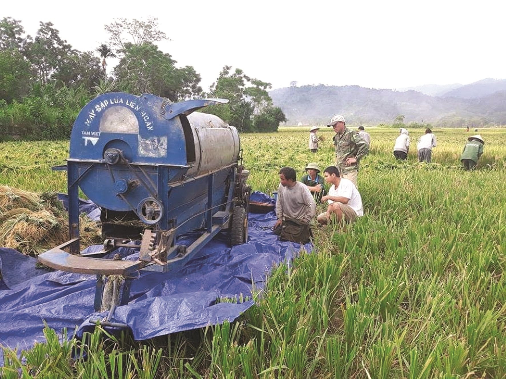 Nghệ An: Thí điểm phát hành tín chỉ các-bon trên 6.000ha sản xuất lúa Nghệ An: Thí điểm phát hành tín chỉ các-bon trên 6.000ha sản xuất lúa